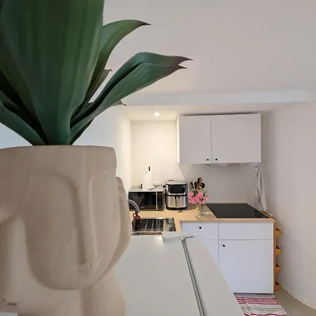 Le Riviera 5 Pers, Terrasse Privee, Acces Piscine Apartment Sainte-Maxime